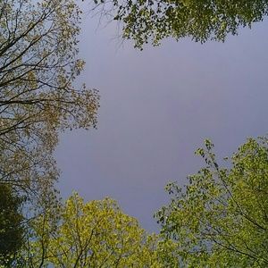 Meet your Posher, Lily